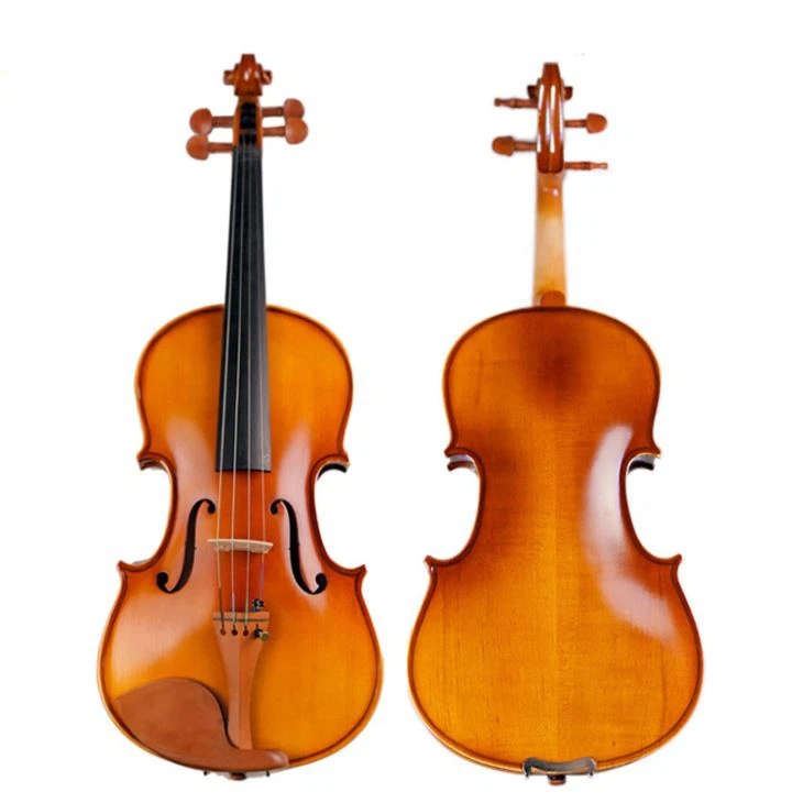 Violon đầu vào dành cho sinh viên đủ kích cỡ