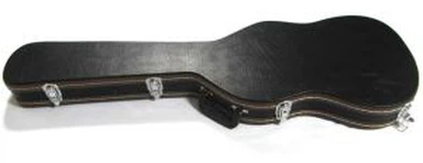 Điện Bass Guitar trường hợp
