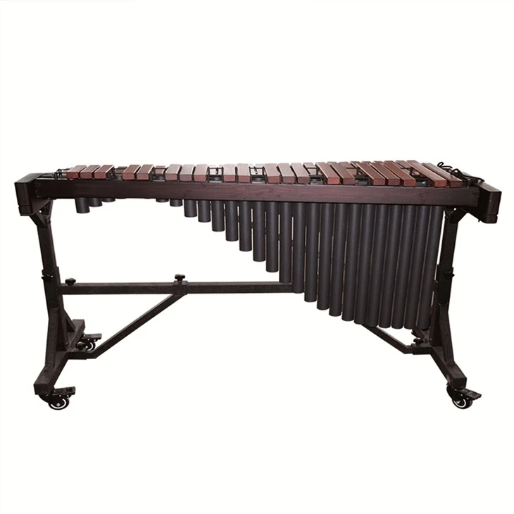 Nghệ sĩ Xylophone