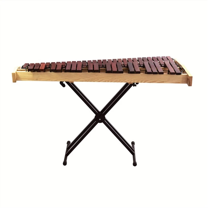 Xylophone hay nhất