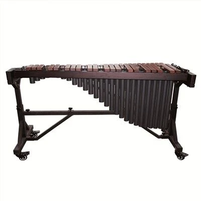 Nghệ sĩ Xylophone